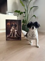 Modesta: pirkėjo nuotrauka